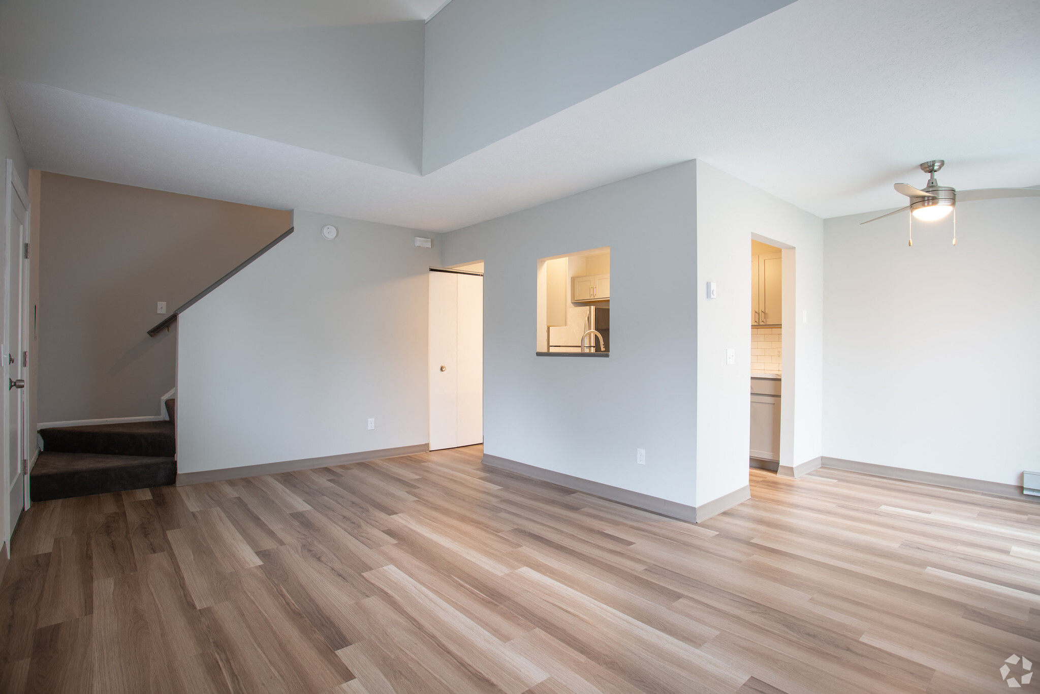 Gallery Photo 4